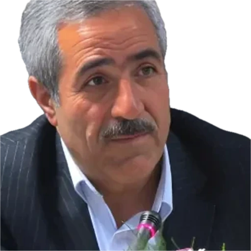 احمد مرادعلیزاده